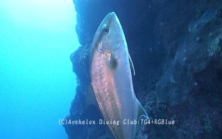 kanpa231220-y.jpg
