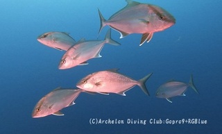 kanpa240105-n01.jpg