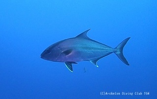 kanpa240129-n01.jpg