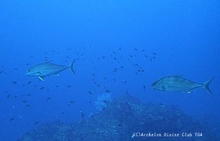 kanpa240129-n02.jpg