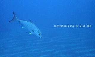 kanpa240216-s01.jpg