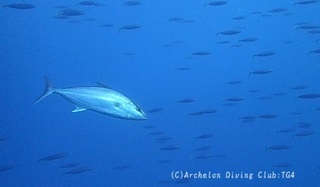 kanpa240216-s02.jpg