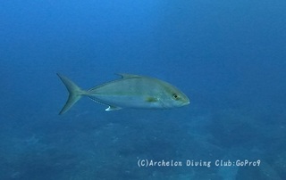kanpa240225-n.jpg