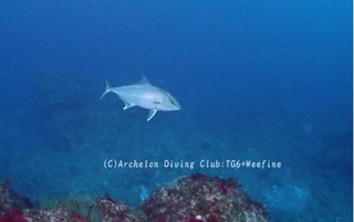 kanpa240305-n02.jpg
