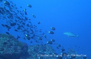 kanpa240317-ao.jpg