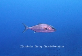 kanpa240328-n.jpg