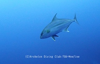 kanpa240328-n02.jpg