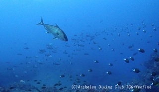 kanpa240330-s02.jpg