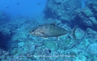 kanpa240330-s03.jpg