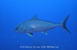 kanpa240415-n03.jpg