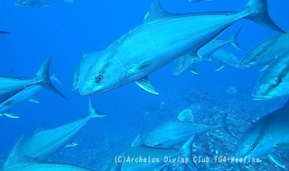 kanpa240415-n04.jpg