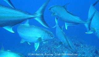 kanpa240415-n05.jpg