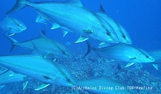 kanpa240415-n06.jpg