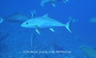 kanpa240415-n07.jpg
