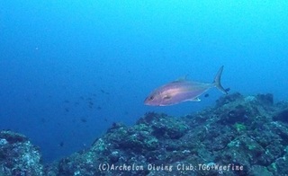 kanpa240416-n.jpg
