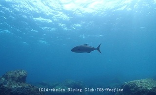 kanpa240416-n02.jpg