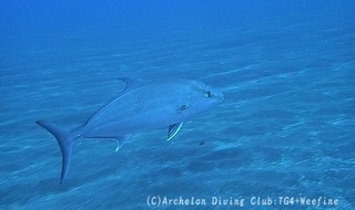 kanpa240420-y.jpg