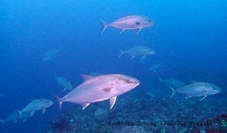 kanpa240424-n04.jpg