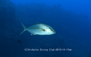kanpa240522-n.jpg