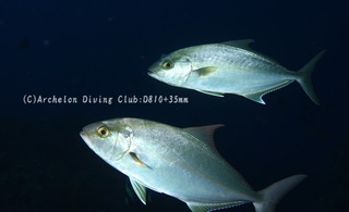 kanpa240523-n01.jpg