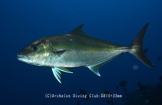 kanpa240523-n02.jpg