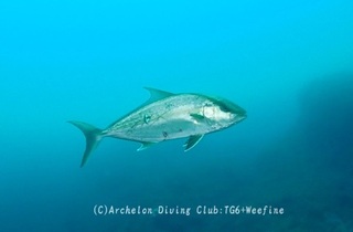 kanpa240629-ide.jpg