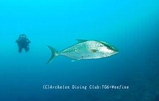 kanpa240629-ide03.jpg