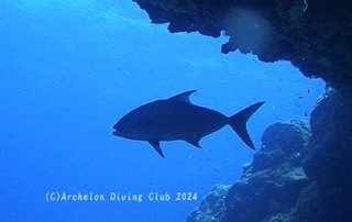 kanpa240727-ide.jpg