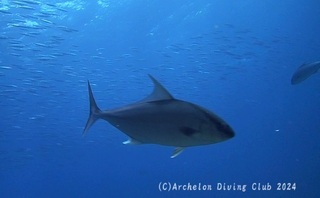 kanpa240802-n01.jpg