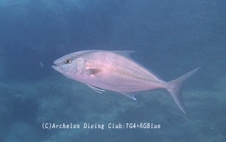 kanpa241002-k.jpg