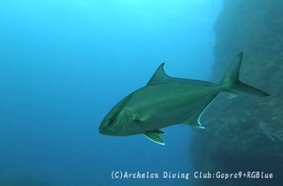 kanpa241203-n.jpg