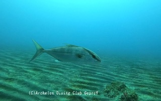 kanpa241220-y.jpg