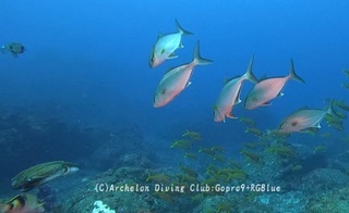 kanpa250106-n02.jpg