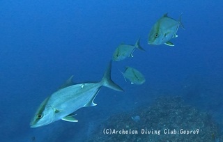 kanpa250112-n03.jpg
