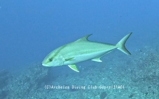 kanpa250120-n.jpg