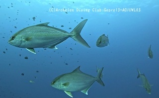 kanpa250121-n.jpg