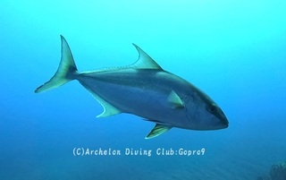 kanpa250127-y.jpg