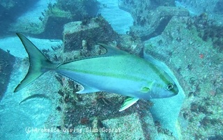 kanpa250128-y.jpg