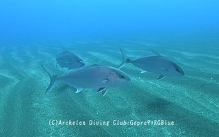 kanpa250221-y.jpg