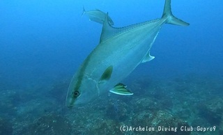 kanpa250315-nnny.jpg