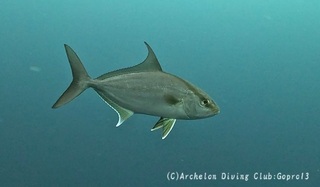 kanpa250410-n.jpg