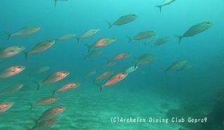 kanpa250418-y02.jpg