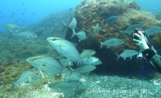 kanpa250419-n01.jpg
