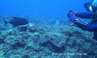 kappore230902-zomi.jpg