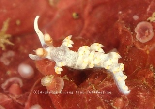 keramamino231016-y.jpg