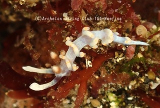 keramamino240312-s.jpg