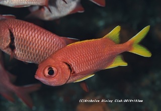 kibire210226-na.jpg