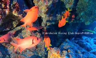 kibire241102-kyo.jpg