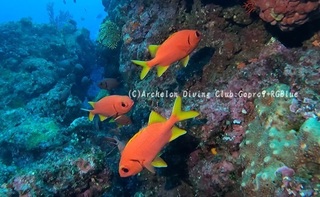 kibire241213-n.jpg