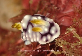kika231009-y.jpg